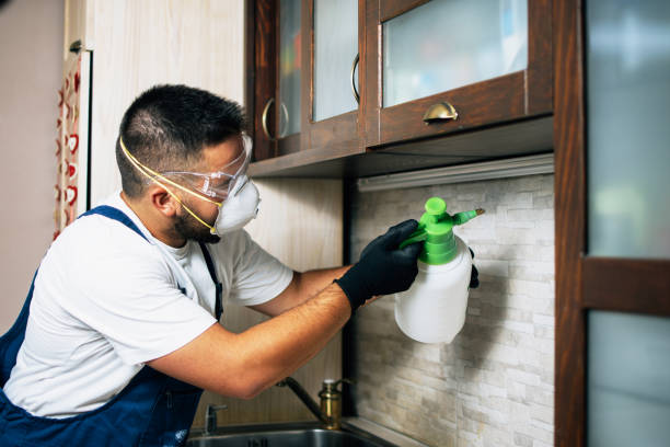 Best Cockroach Control Services  in Baker City, OR