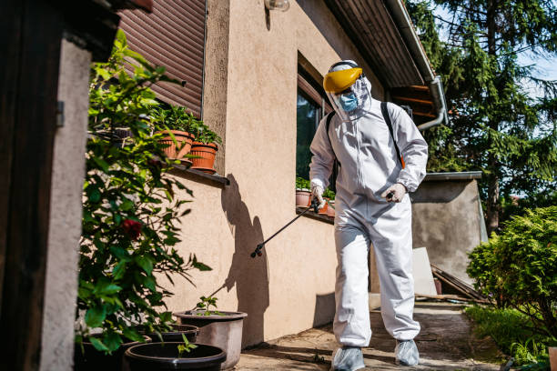 Bird Control in Baker City, OR