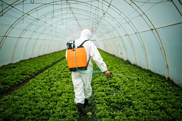 Best Pest Control Near Me in Baker City, OR