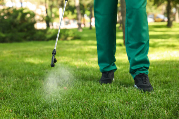 Best Termite Control Services  in Baker City, OR
