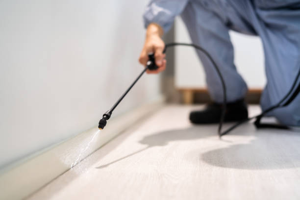 Reliable Baker City, OR Pest Control Solutions