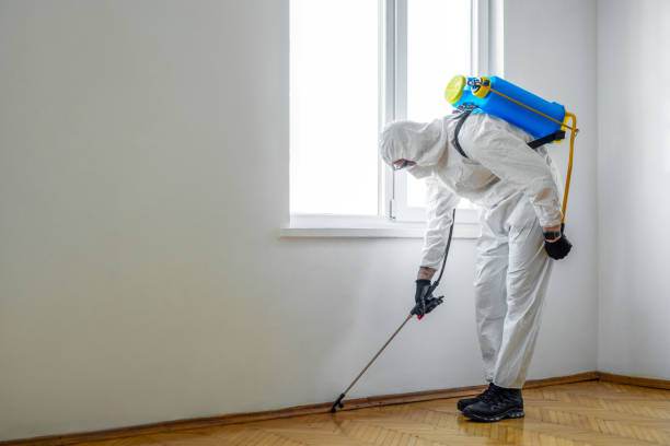 Best Mosquito Control Services  in Baker City, OR