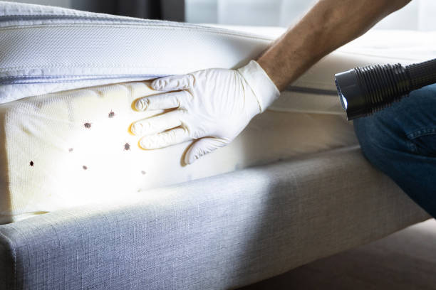 Best Insect Control  in Baker City, OR