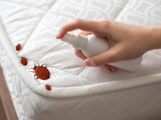Pest Control for Restaurants in Baker City, OR