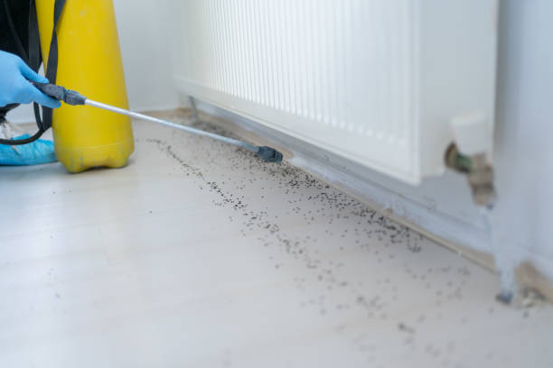 Professional Pest Control in Baker City, OR
