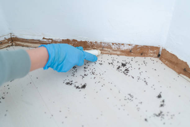 Best Rat Extermination Near Me  in Baker City, OR